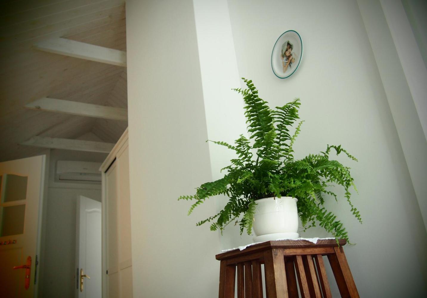 Alpakarium, Hodowla Alpak & Pensjonat Stara Kornica Εξωτερικό φωτογραφία